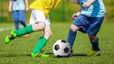 李宇春打造新贸易企业 注册资金达千万