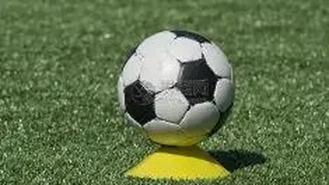 上周ETF吸金狂潮，千亿资金涌入市场