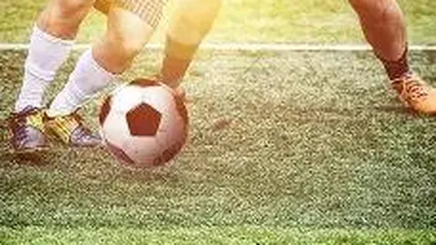 莫德裏奇技术特色剖析